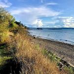 Fort Ward Park
