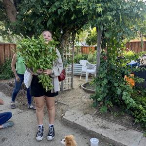 Lizzy's Plant Addiction