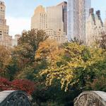Central Park
