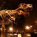 Museum of the Rockies