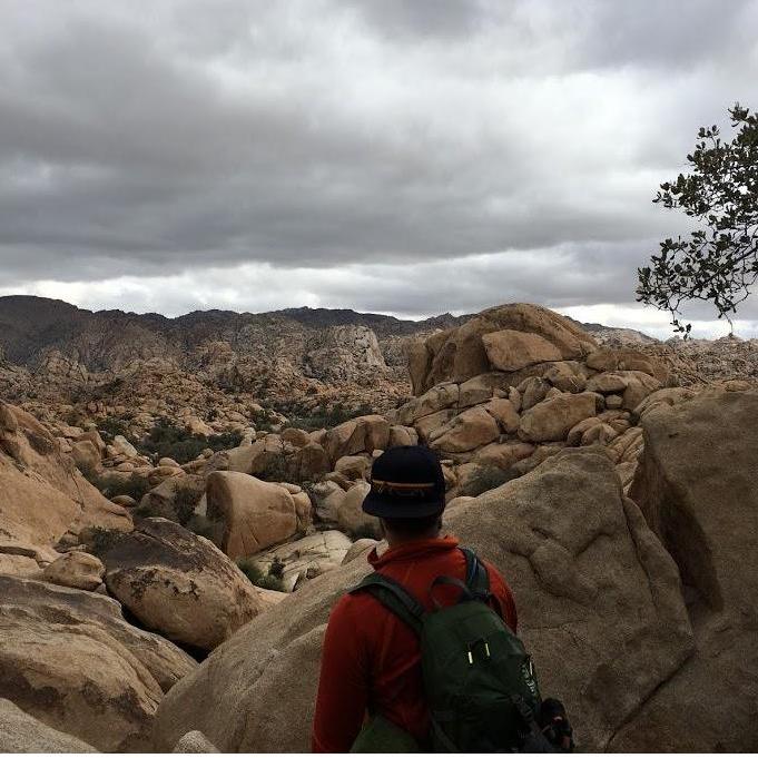 Joshua Tree 01.2017 - it rained. A lot.
