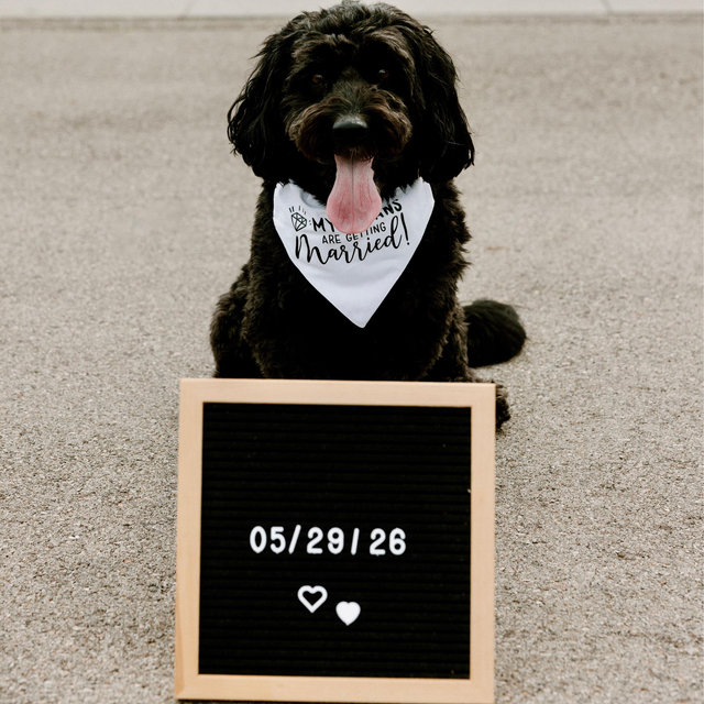 Toby’s Daycare Fund