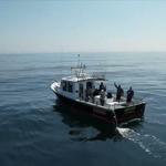 Santa Barbara Sportfishing Charters