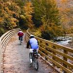Virginia Creeper National Recreation Trail