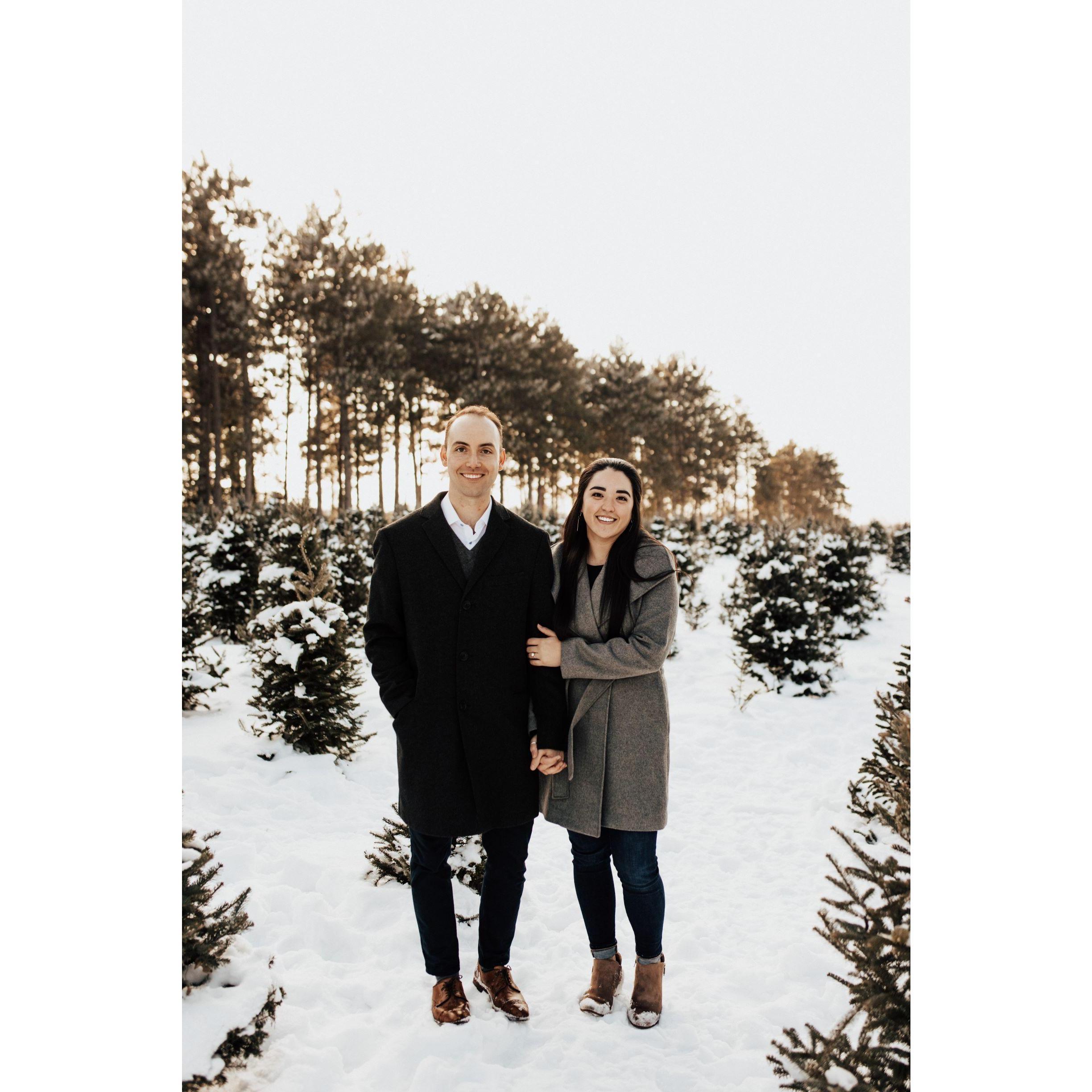 Engagement photos - Hansen Tree Farm (2021)