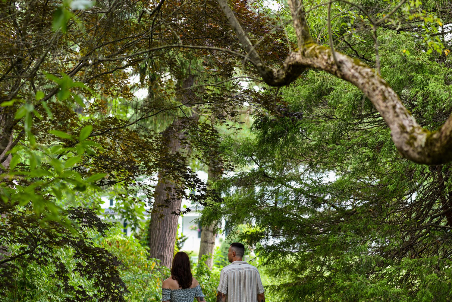 The Wedding Website of Jessica Zakzewski and Mark Kennedy