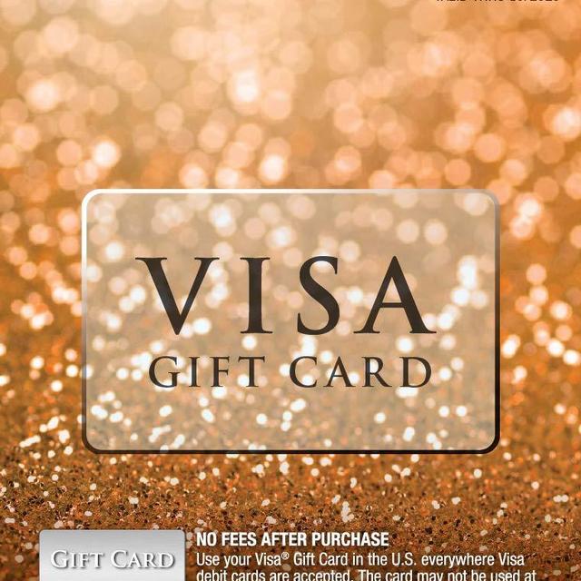 $25 Visa Gift Card (plus $3.95 Purchase Fee)