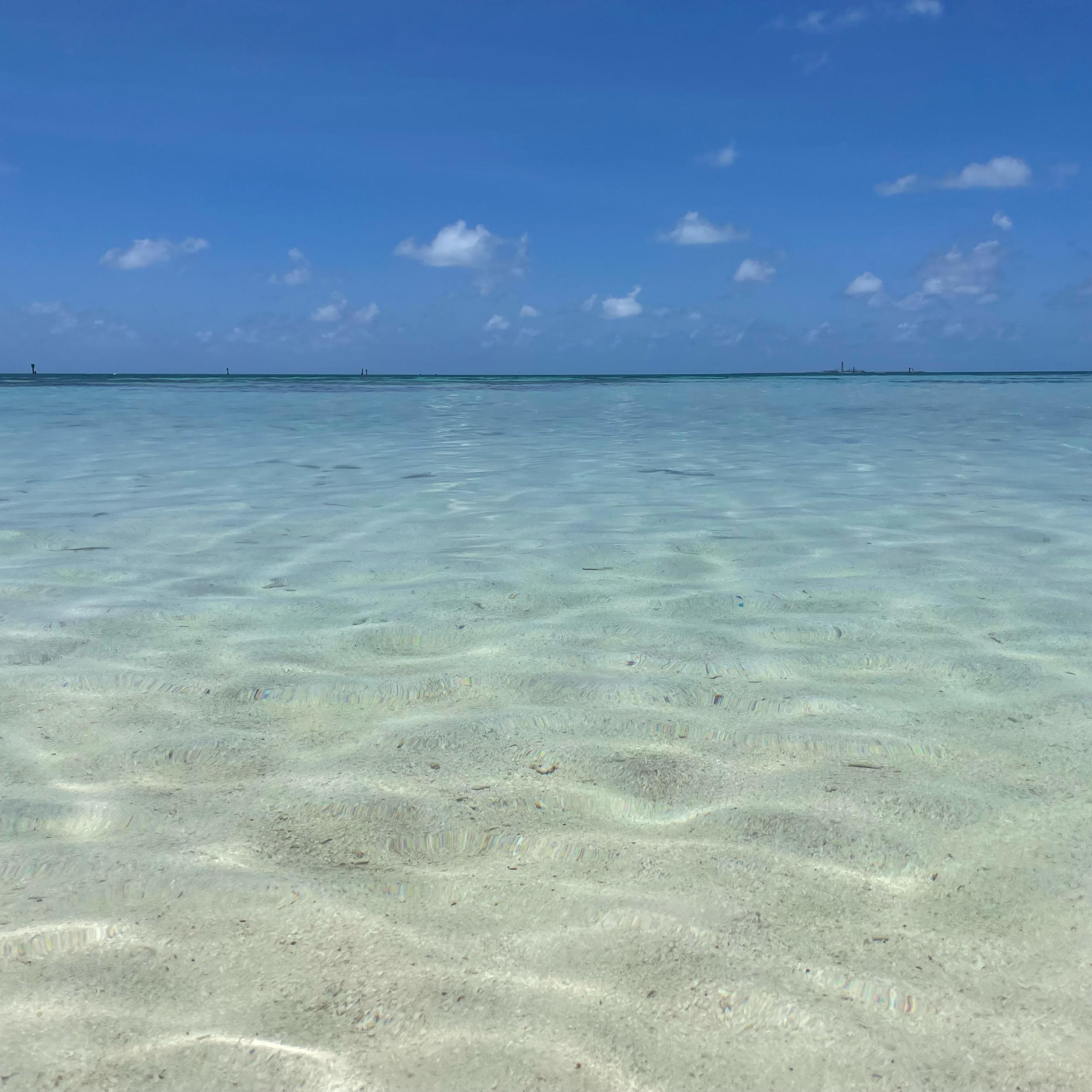 Honeymoon fund for excurisons