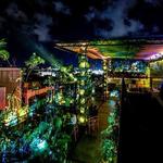Night Life