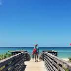 Honeymoon Island State Park
