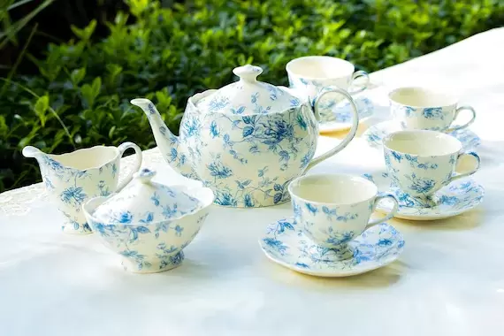 Blue Rose Toile Fine Porcelain 11-Piece Tea Set, 1 Teapot, 1 Sugar Bowl and 1 Creamer, 4 Cups with 4 Saucers Set, Grace Teaware
