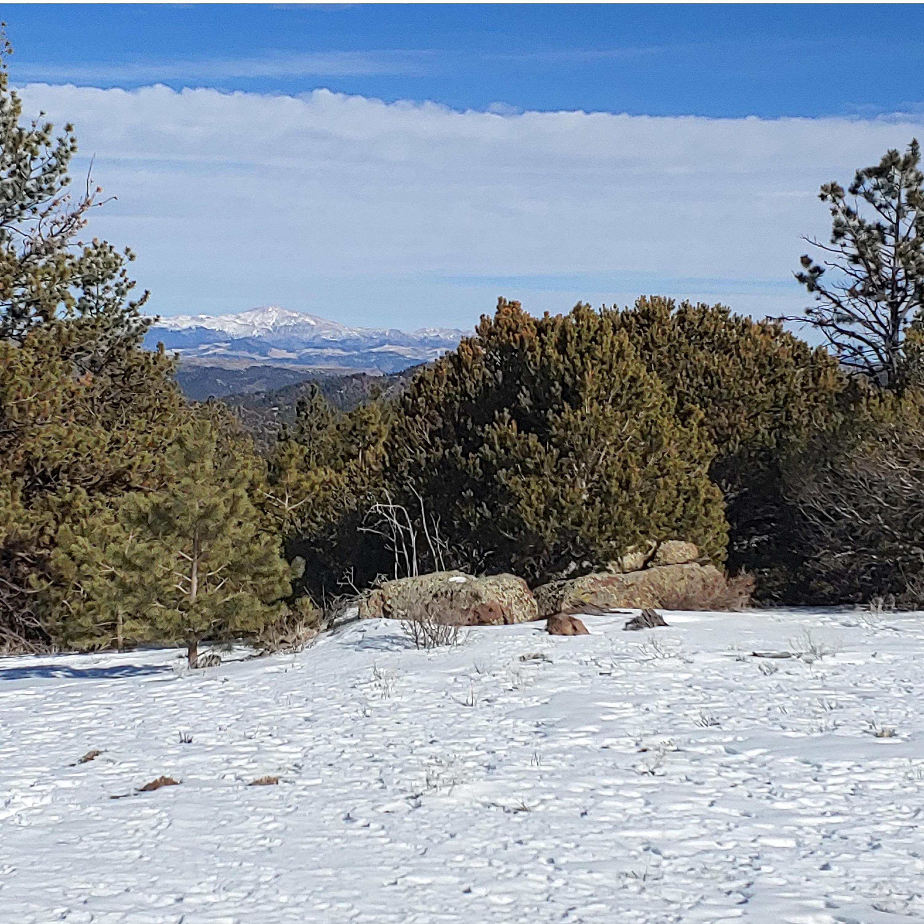Beautiful view of Pikes Peak in the background of our wedding venue at Taylor Ranch