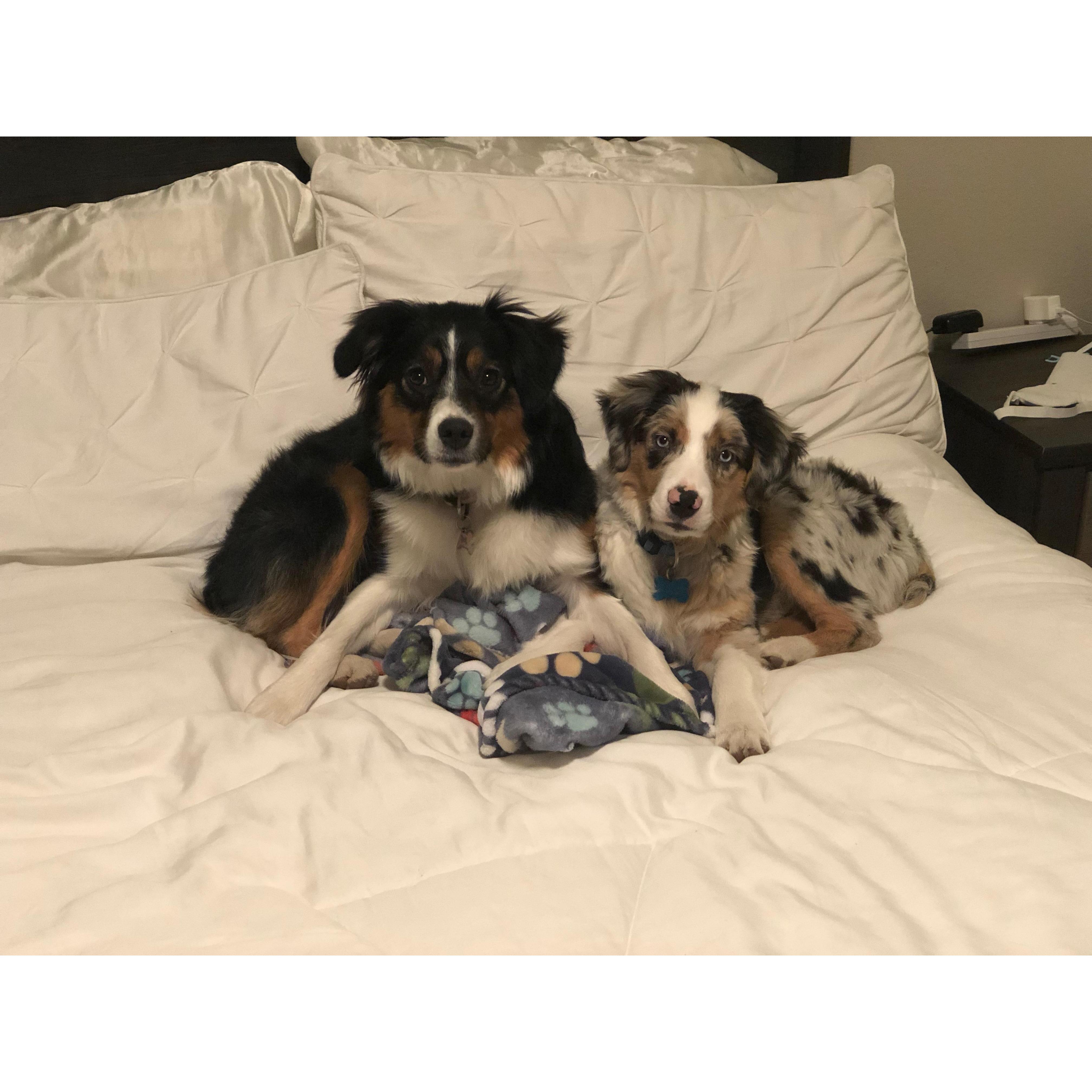 Harper & Cooper Spring 2018 Laramie, WY