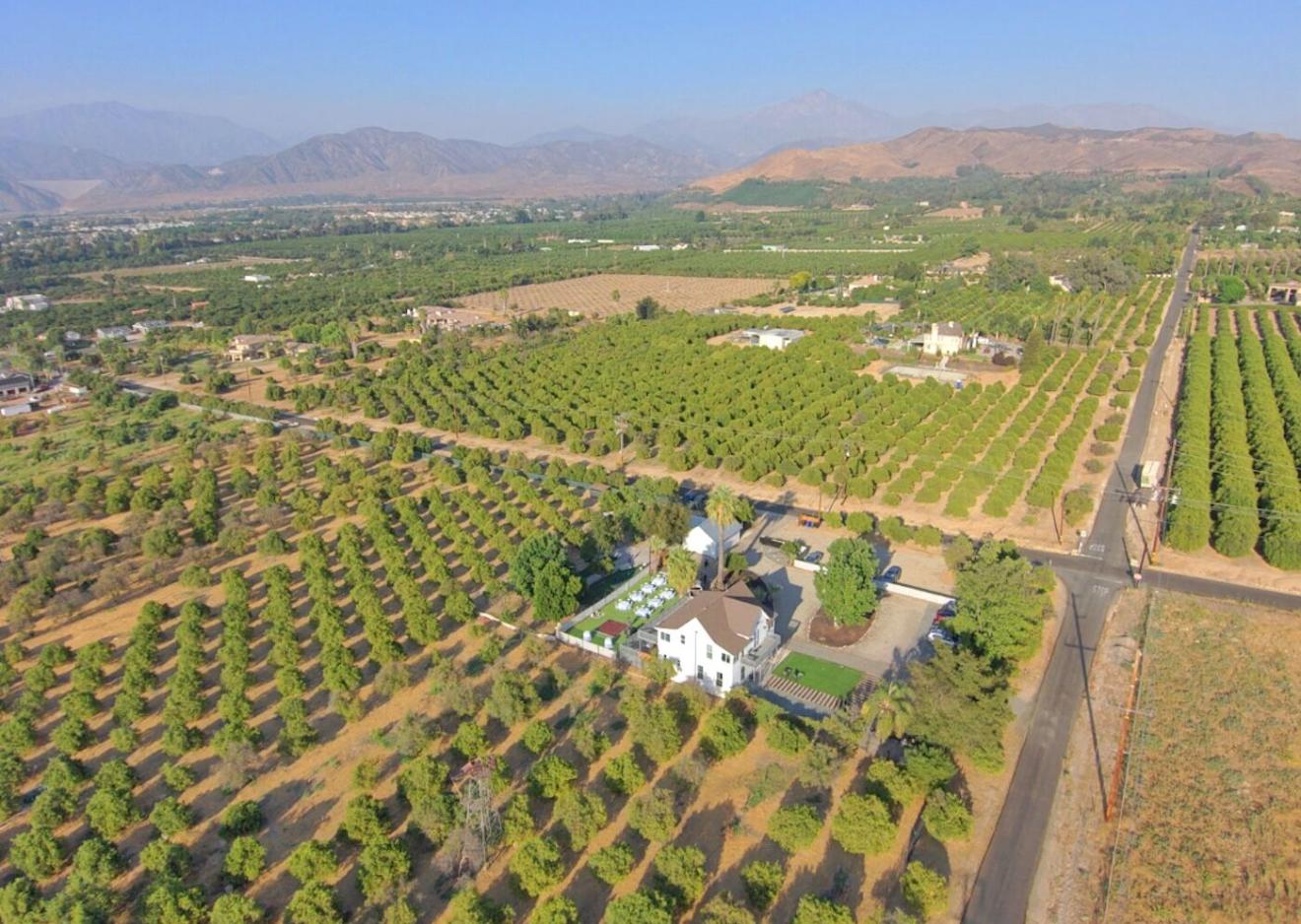 The Wedding Website of Sarai Arana and Adam Holland