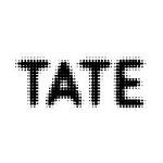 Tate St Ives