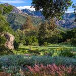 Santa Barbara Botanic Garden