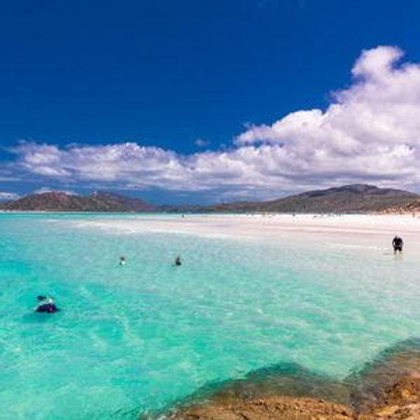 Our Australian Honeymoon