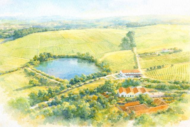 The Wedding Website of Victoria Caputo and Jason DeNezzo