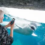 Mystic Aquarium