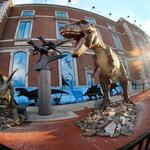 The Academy of Natural Sciences of Drexel University