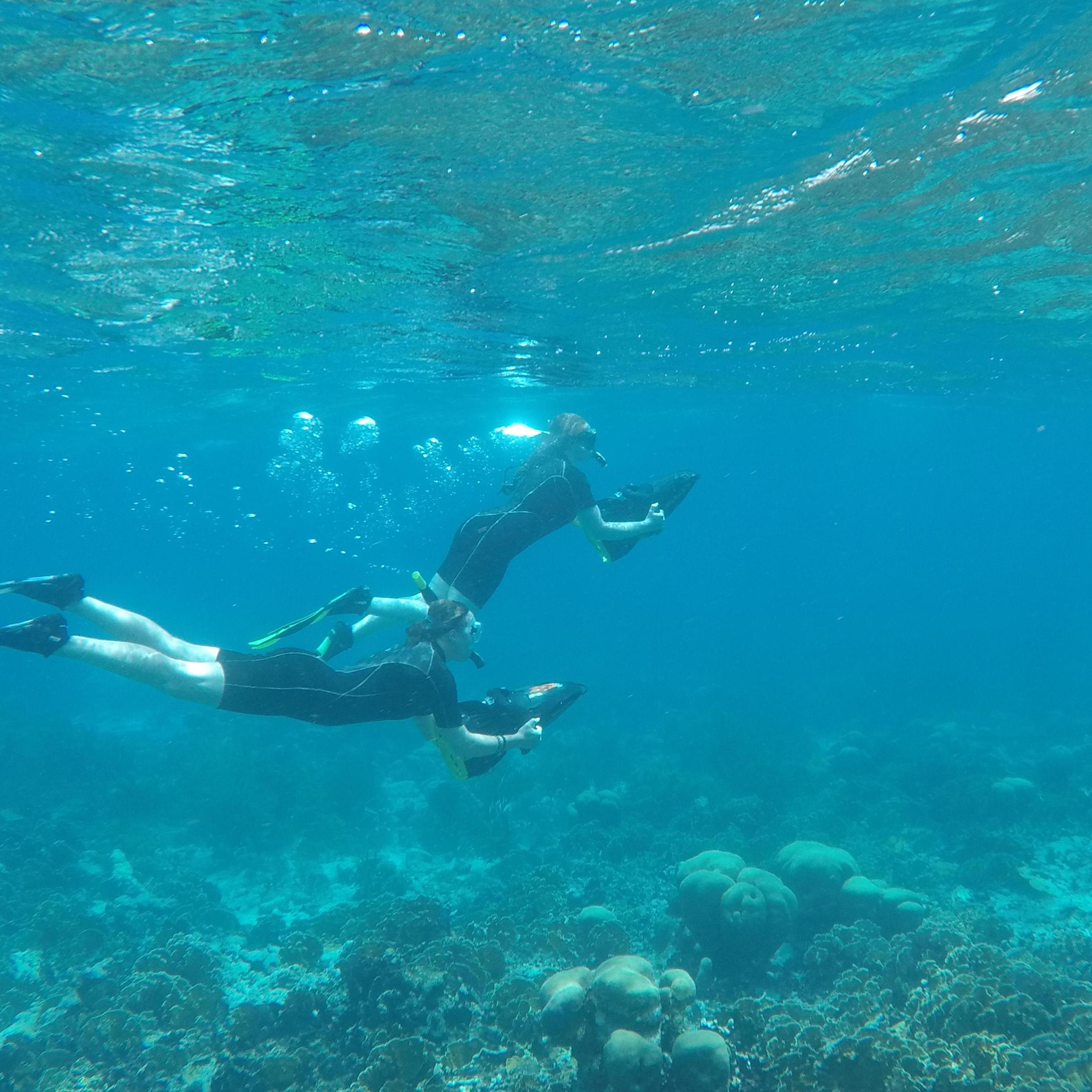 Snorkeling for the first time in Aruba