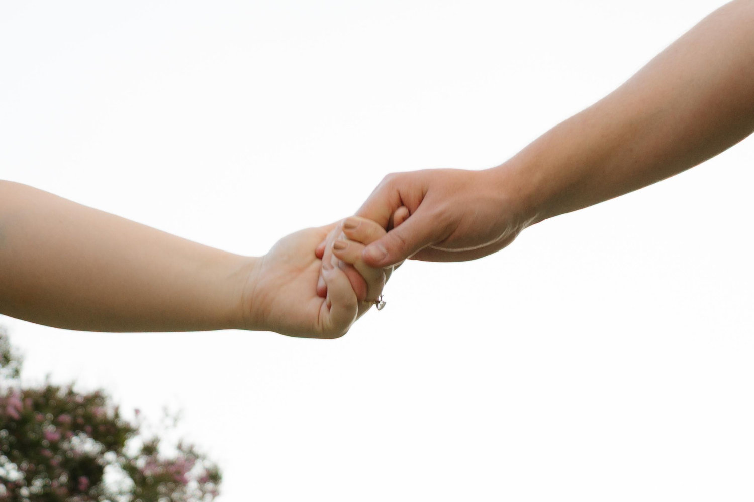 The Wedding Website of Madelynn Smith and Luke Gibson