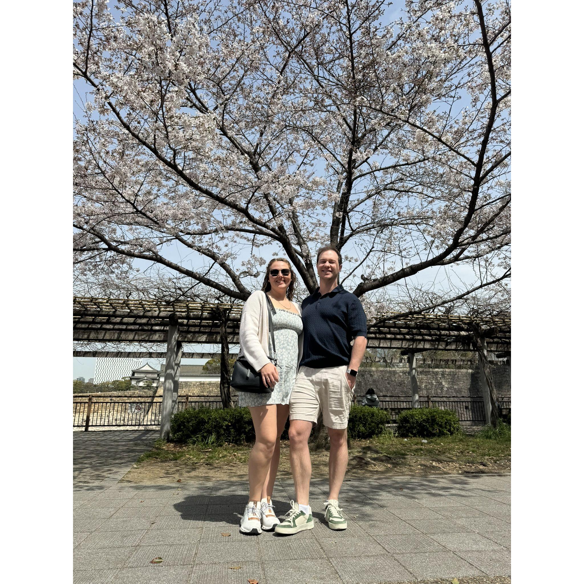 Japan 2024