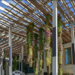 Pérez Art Museum Miami