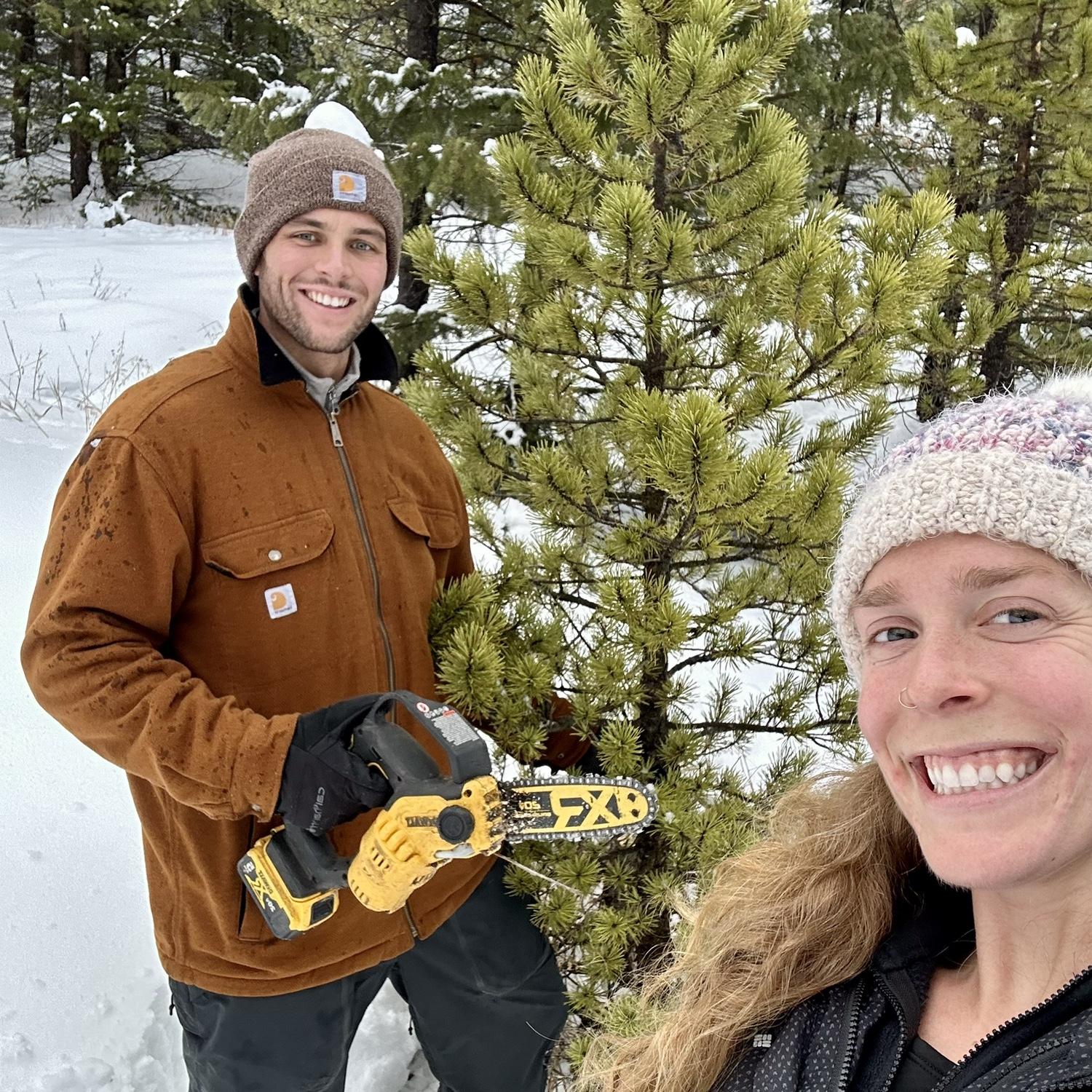 Our first Christmas tree.