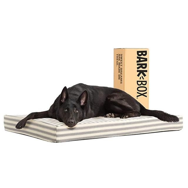 Barkbox Dog Bed | Memory Foam Mattress 3" High-Density for Orthopedic Joint Relief | Machine Washable Crate Mat with Removable Cover and Water-Resistant Lining | Includes Squeaker Toy