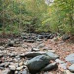 Sugar Hollow Trail to Blue Hole