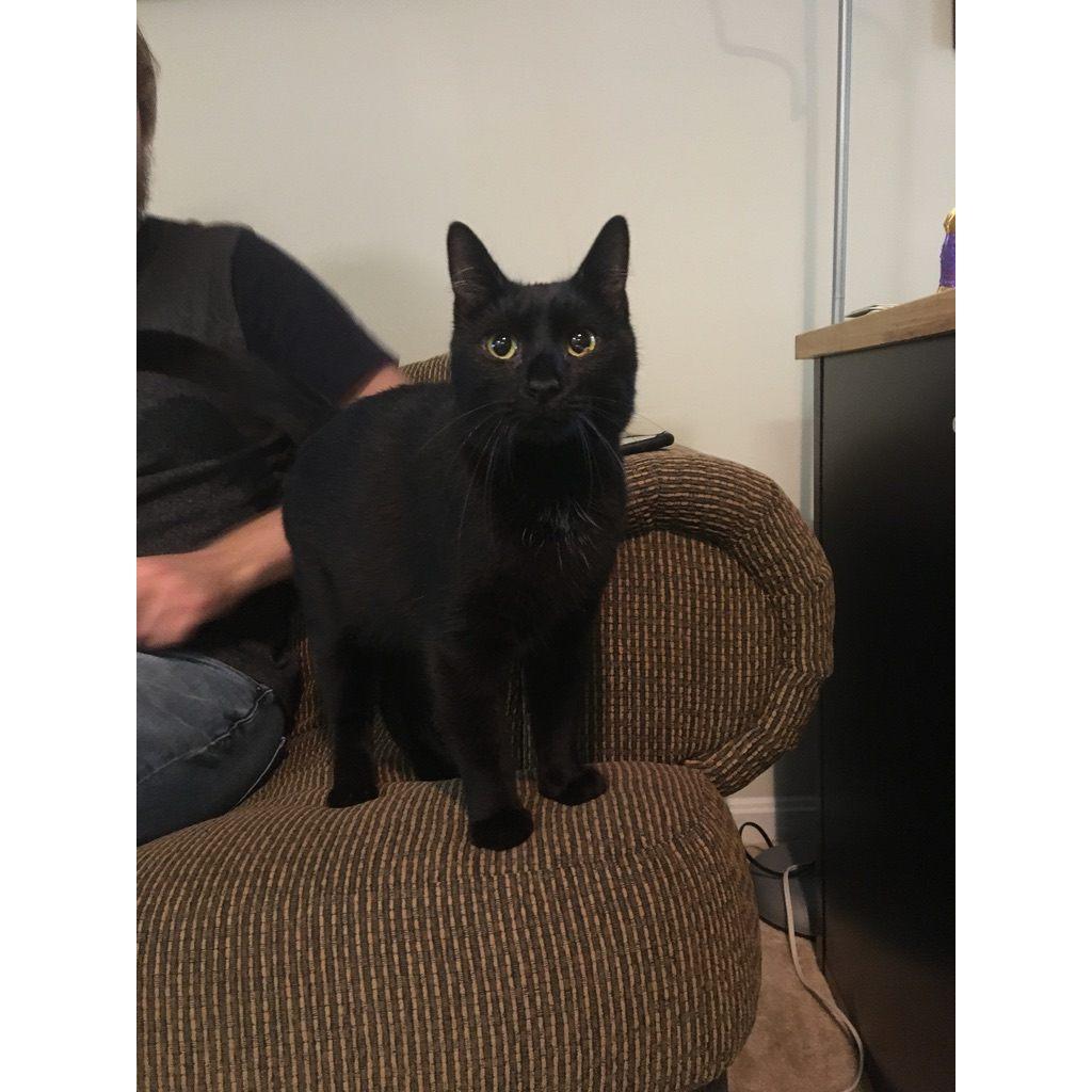 April 2019: We adopted Juliet!