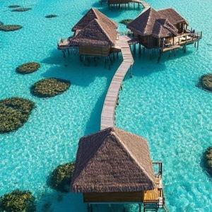 HONEYMOON FUND