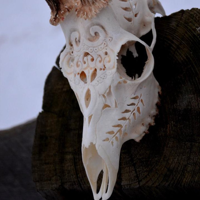 Etsy - Carved deer skull