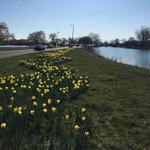 Belle Isle