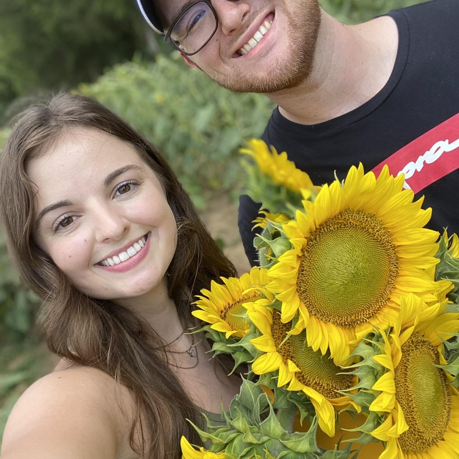 2022 Sunflower Fields