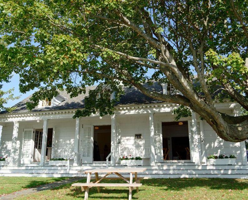 The Wedding Website of Tess Parker and Daniel Duron