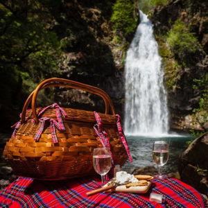 Waterfall Picnic on Honeymoon