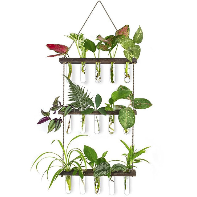 Ivolador Wall Hanging Plants Terrarium with Wooden Stand, 3 Tiered Mini Test Tube Retro Hanging Glass Plants Propagator for Hydroponic Plants Cutting Home Office Garden Decor(Brown)