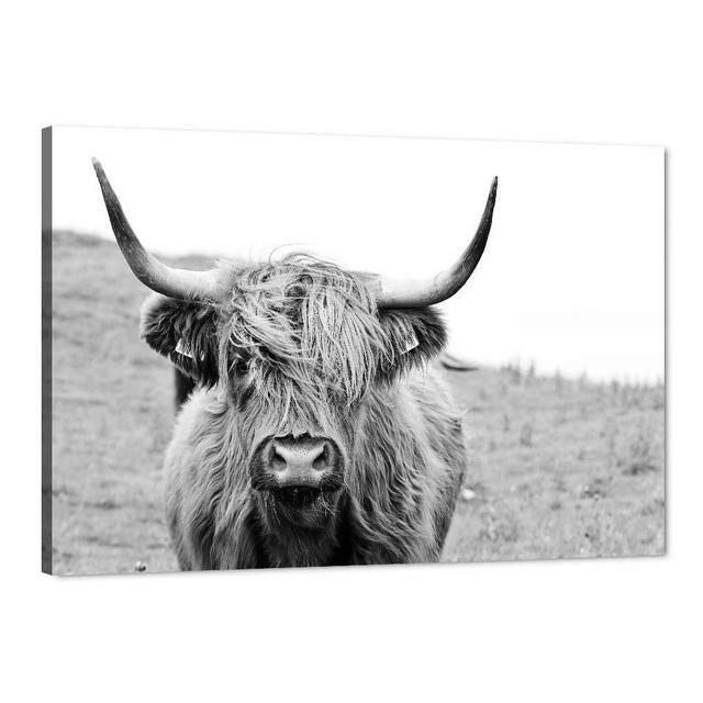 Freedom Highland Cow Pictures Canvas Wall Art Farmhouse Prints Photo Contemporary Animal Cow Decor Oil Paintings for Living Bedroom Wall Decor Wood Frame Artwork Stretched Gallery Wrapped-36''Wx24''H