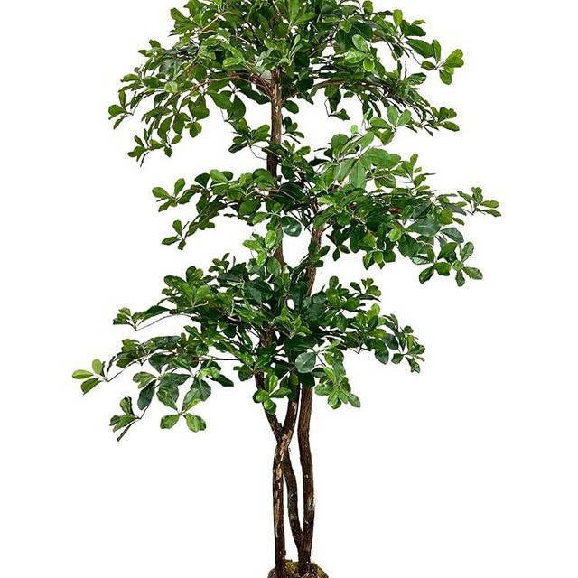 Hand-Made Italian Black Olive Leaf 3-Tier 6.5' Artificial Tree, Green, Cypress & Alabaster