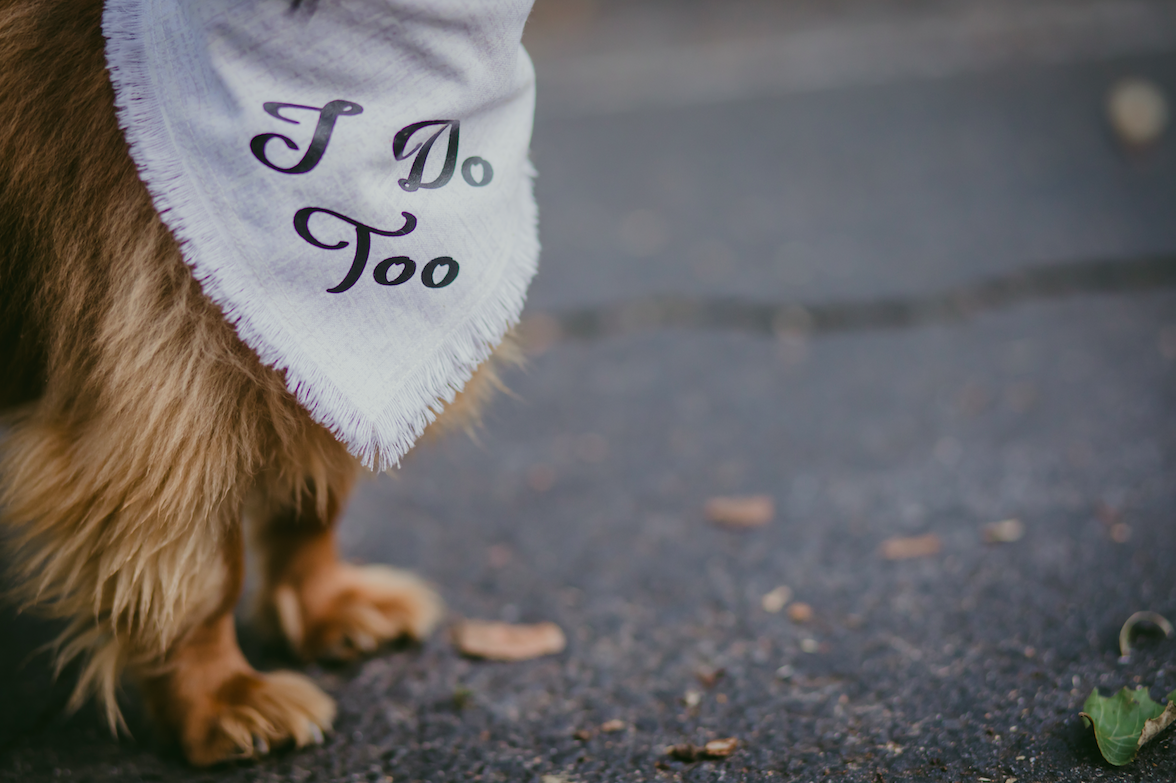 The Wedding Website of Lynnae Luettich and Kevin Stypulkowski