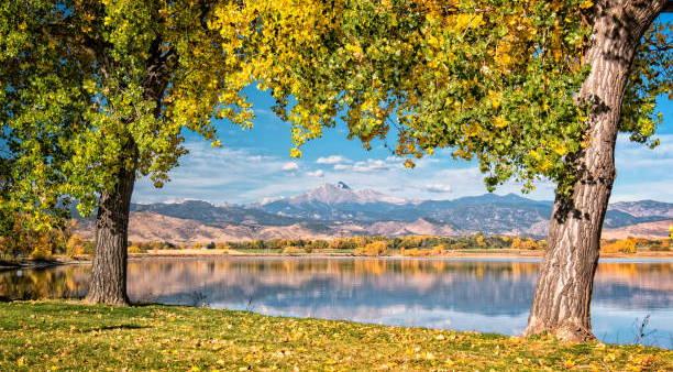 The Wedding Website of Kayla Ferguson and Pranay Sanadhya