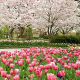 The Dallas Arboretum and Botanical Garden