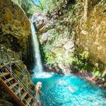 Oropendola waterfall
