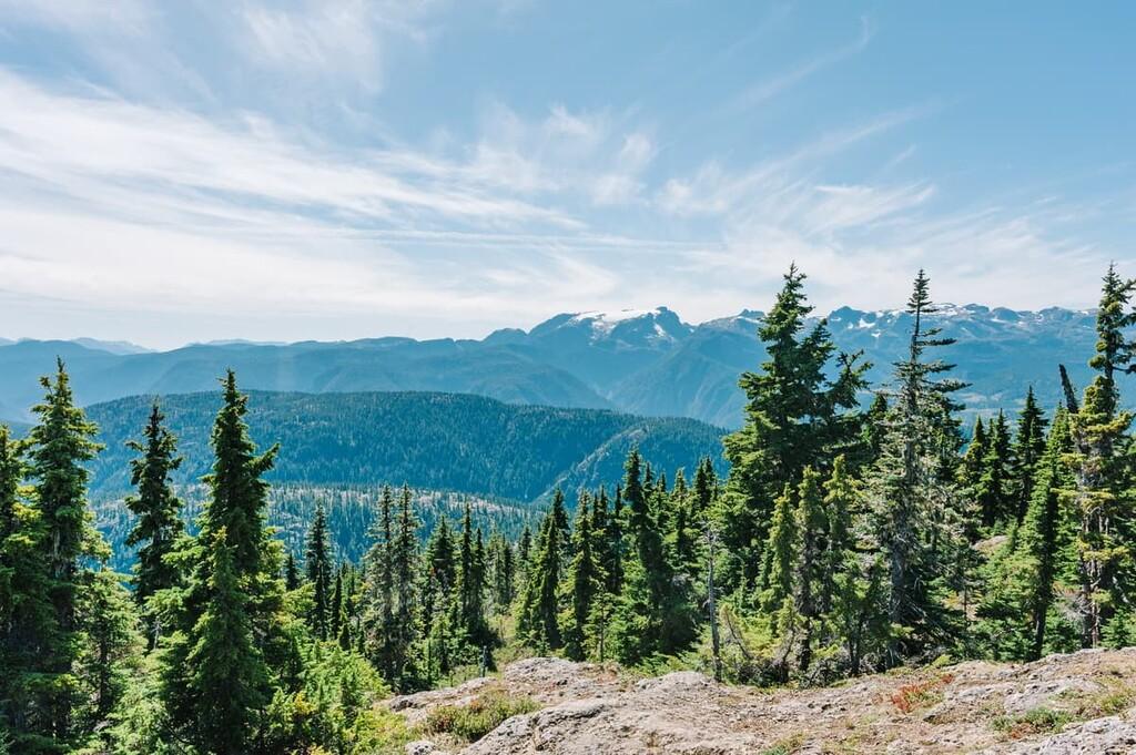 The Wedding Website of Jessica Garrett and Tyler Kostiuk