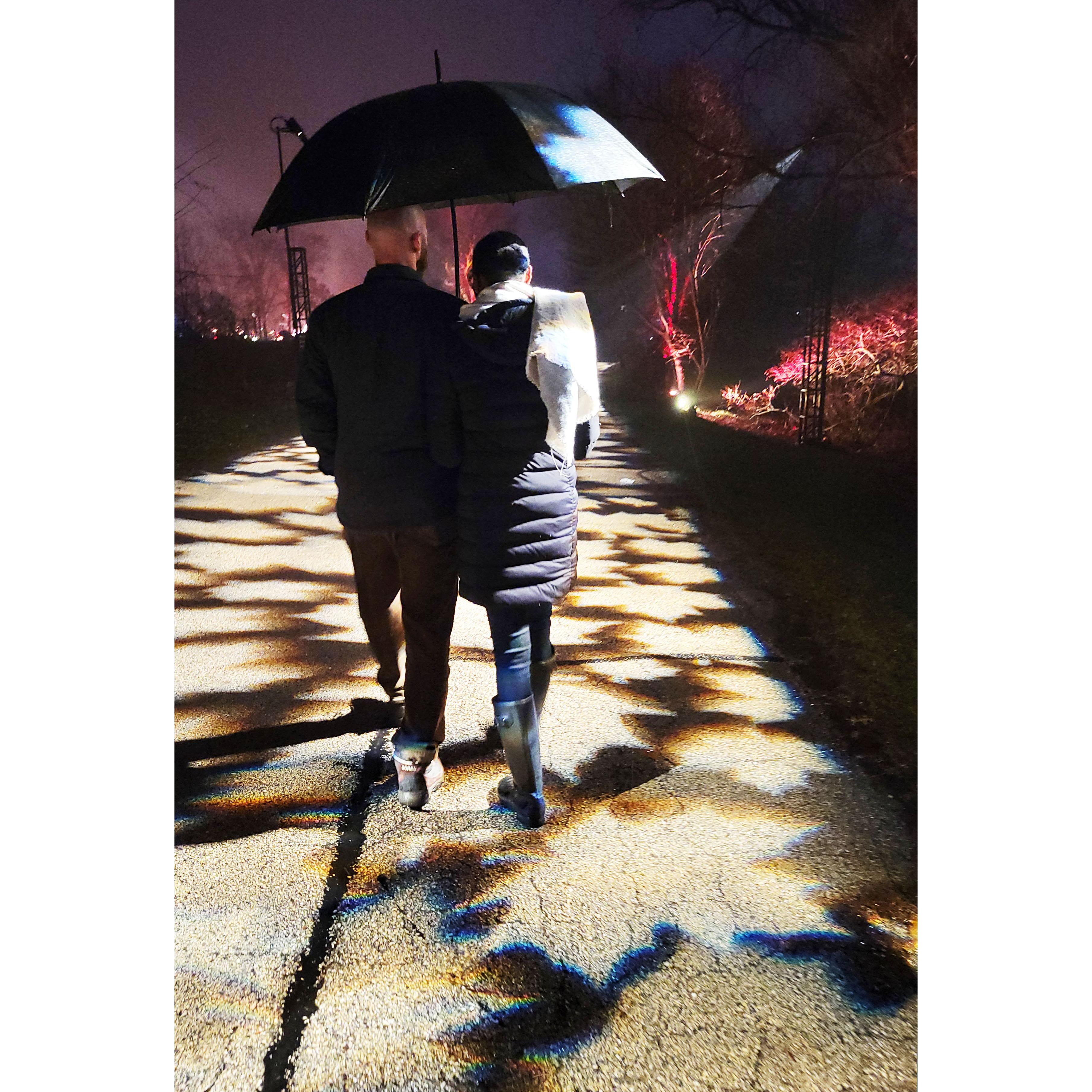 Out at the Morton Arboretum