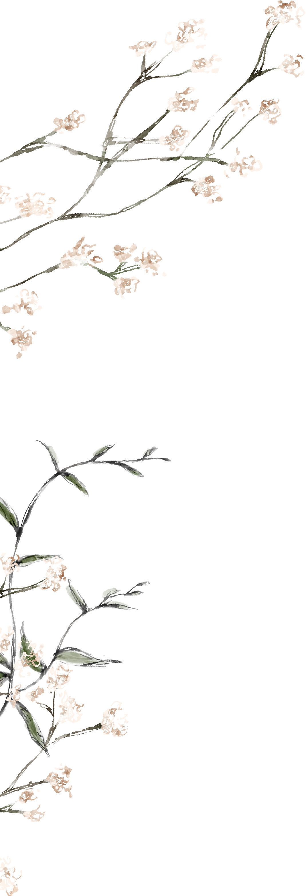 foliage