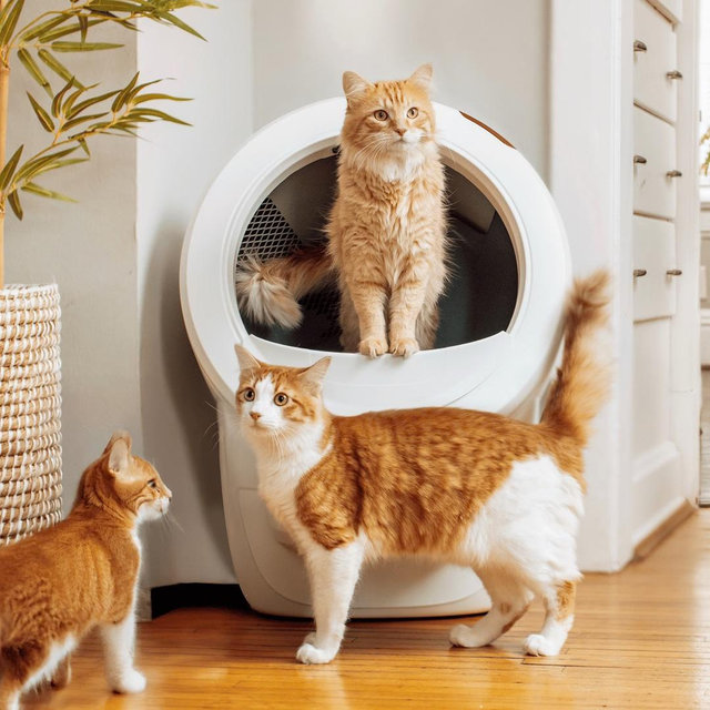 Litter-Robot® 4