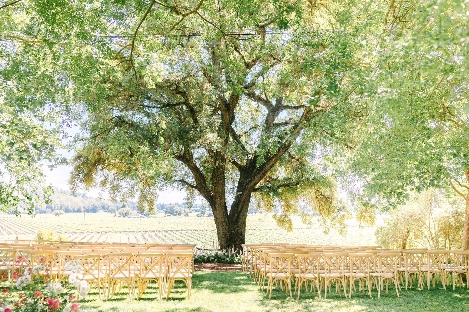 The Wedding Website of Katelyn Elizabeth Wheat and Garrett Evan Rupp
